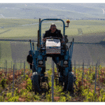 Labourage-tracteur-