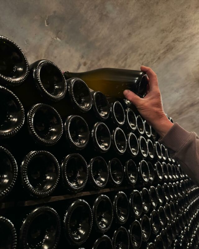 🇫🇷Le 16 et 17 mai 2024, nous avons procédé au tirage de 56 000 bouteilles.

Le tirage est un des moments forts de l’élaboration du Champagne puisque les vins clairs issus de la vendange 2023 sont mis en bouteille. 
La liqueur de tirage (mélange de vin, de levures et de sucre) est ajoutée afin de provoquer la prise de mousse. Les levures transforment le sucre en alcool et le CO2 issu de la fermentation est emprisonné dans la bouteille. 
C’est de cette façon que naissent les bulles.✨

Savez-vous combien de temps dure, en moyenne, la prise de mousse ? À vos commentaires !

🇬🇧On May 16 and 17, 2024, we bottled 56 000 bottles.

The bottling is one of the highlights of the Champagne-making process, as the still wines from harvest 2023 are bottled. 
Liqueur de tirage (a mixture of wine, yeasts and sugar) is added to provoke the prise de mousse. The yeasts transform the sugar into alcohol, and the CO2 from fermentation is trapped in the bottle, creating the bubbles.✨

Do you know how long it takes, on average, the prise de mousse ? We’d love to hear from you !

#champagnefernandlemaire #vigneron #vigneronsindependants #champagne #hautvillers #cellar #wine #familybusiness #winegrower #premiercru #terroir #famille #tirage #bottling