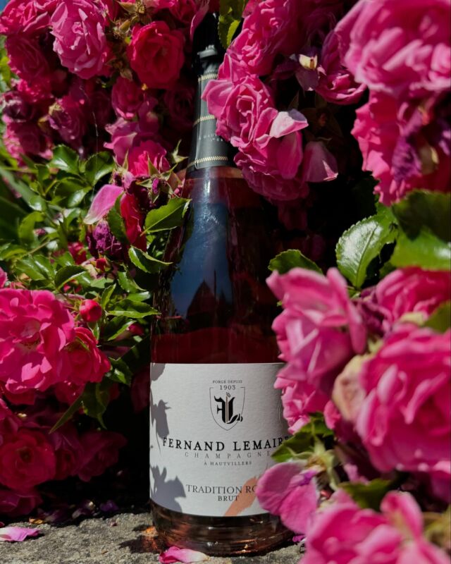 🇫🇷 Pensez à notre Rosé pour les beaux jours !🌞

Assemblé à partir de 95% de chardonnay et 5% de vin rouge de pinot noir issu de la vendange 2020 avec un vieillissement de 30
mois en cave, il sera idéal pour vos célébrations estivales !

*L’abus d’alcool est dangereux pour la santé, à consommer avec modération 

🇬🇧 Don’t forget our Rosé for sunny days !🌞

Blended from 95% chardonnay and 5% pinot noir red wine from the 2020 harvest and aged for 30 months in the cellar, it will be ideal for your summer celebrations !

#champagnefernandlemaire #vigneron #vigneronsindependants #champagne #hautvillers #cellar #wine #familybusiness #winegrower #premiercru #terroir #famille #rosé #pink