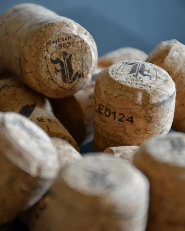 🇫🇷 Matériau noble et renouvelable, le liège naturel est idéal pour préserver l’effervescence et les arômes délicats de nos Champagnes en assurant une étanchéité parfaite. 
Chaque bouchon en liège est unique et scelle la qualité et l’histoire de chaque flacon.🍾

🇬🇧 A noble, renewable material, natural cork is ideal for preserving the effervescence and delicate aromas of our Champagnes while ensuring a perfect seal. 
Each cork is unique, sealing in the quality and history of each bottle.🍾

#champagnefernandlemaire #vigneron #vigneronsindependants #champagne #hautvillers #cellar #wine #familybusiness #winegrower #premiercru #terroir #famille #champagnelovers #cork #bouchon #liège