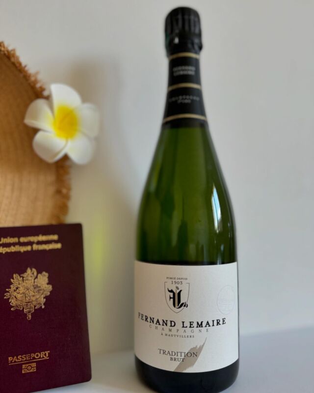 🇫🇷 Prêts pour l’aventure ?

Emportez un peu de notre Maison de Champagne avec vous et faites de chaque destination une fête !🍾

Toute la famille et l’équipe du Champagne Fernand Lemaire vous souhaite de belles vacances ensoleillées.🌞

🇬🇧 Ready for adventure ?

Take a bit of our Champagne House with you and make every destination a celebration !

The whole family and team at Champagne Fernand Lemaire wish you a wonderful sunny vacation.🌞

#champagnefernandlemaire #vigneron #vigneronsindependants #champagne #hautvillers #cellar #wine #familybusiness #winegrower #premiercru #terroir #famille #champagnelovers #holiday #sunny