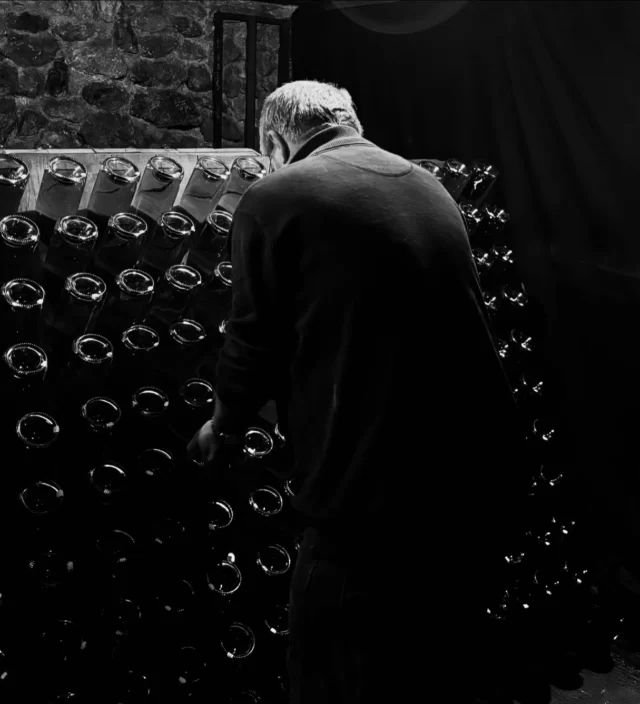 🇫🇷 Le remuage en Champagne, un geste ancestral et un savoir-faire unique.

Dans l’obscurité et le calme de nos caves, chaque bouteille est tournée soigneusement pour préparer le dégorgement. C’est une étape clé dans l’élaboration de nos Champagnes.🍾

*L’abus d’alcool est dangereux pour la santé, à consommer avec modération

🇬🇧 Riddling in Champagne, an ancestral gesture and a unique savoir-faire.

In the darkness and calm of our cellars, each bottle is carefully turned in preparation for disgorging. This is a key stage in the elaboration of our Champagnes.🍾

#champagnefernandlemaire #vigneron #vigneronsindependants #champagne #hautvillers #cellar #wine #familybusiness #winegrower #premiercru #terroir #famille #champagnelovers #remuage #riddling